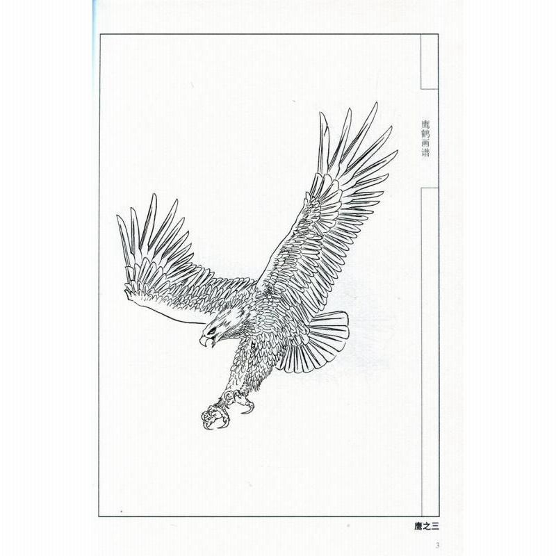 鷹と鶴の画譜 中国画線描 大人の塗り絵 中国絵画/鹰