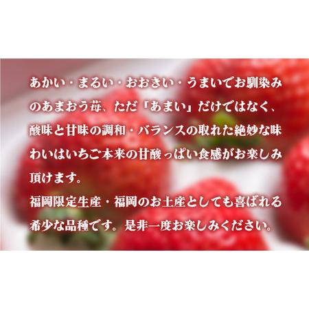 ふるさと納税 福岡産あまおう24-30粒ギフト 先行予約※2023年11月下旬〜2024年4月上旬にかけて順次発送予定 AX016 福岡県宇美町