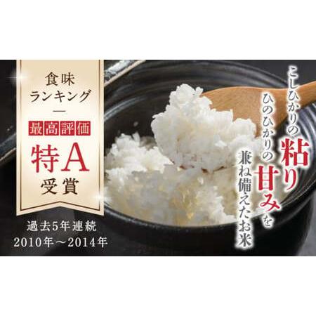 ふるさと納税 森のくまさん 無洗米 10kg（5kg×2袋）お米 コメ 熊本 特A 精米 ごはん 特.. 熊本県山鹿市