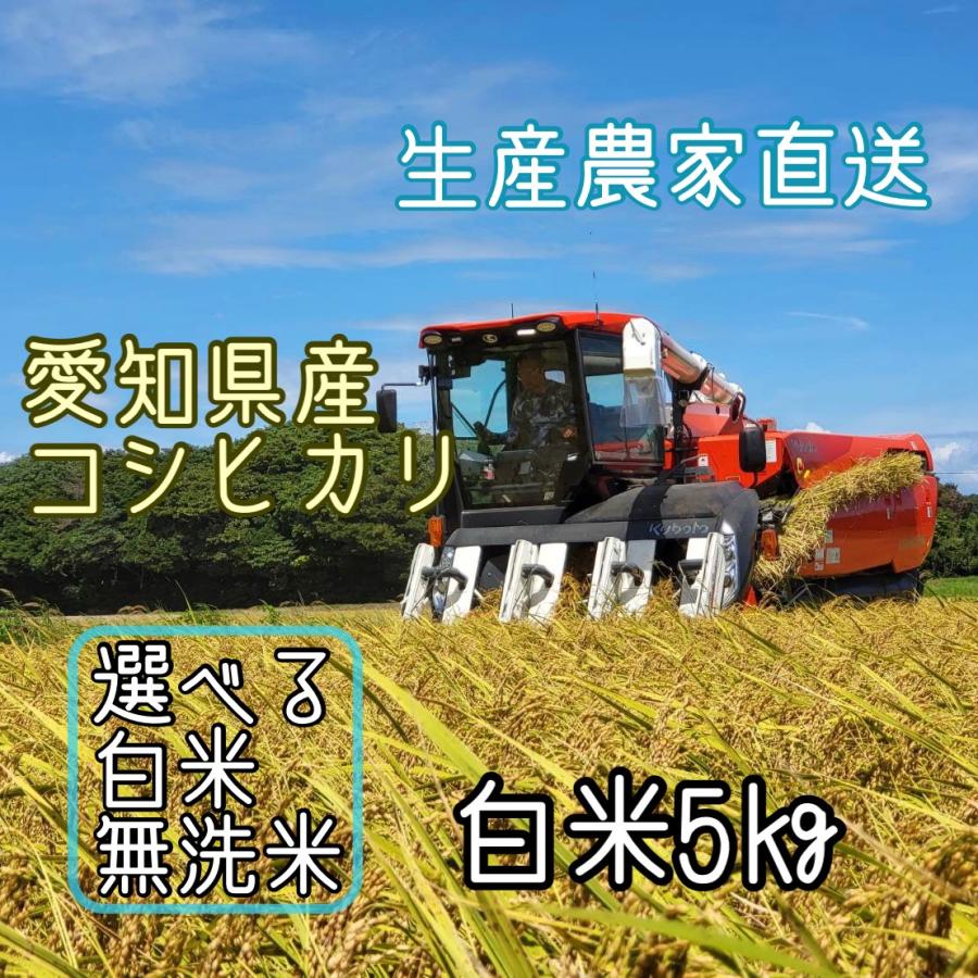 令和5年産　コシヒカリ　5kg　愛知県産　選べる　白米　無洗米　生産農家直送