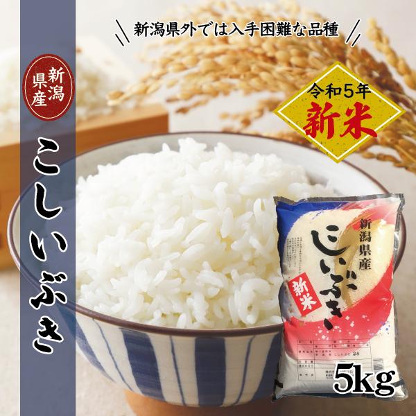 令和5年度  5kg 新潟産 こしいぶき  精米 白米 産直 ギフト