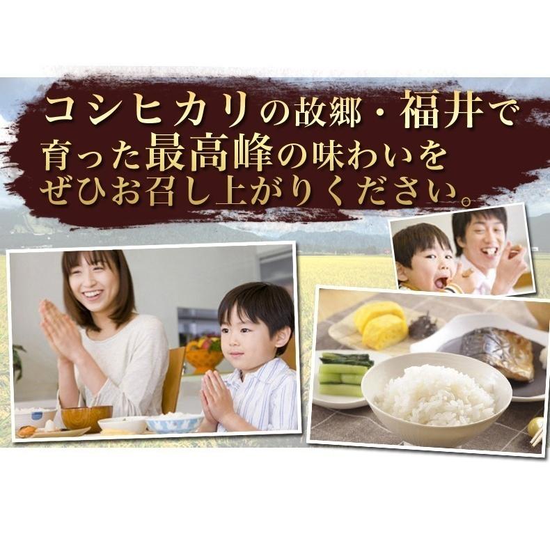 新米 米 玄米 15kg 5kg×3袋 コシヒカリ 福井県産 令和5年産 送料無料