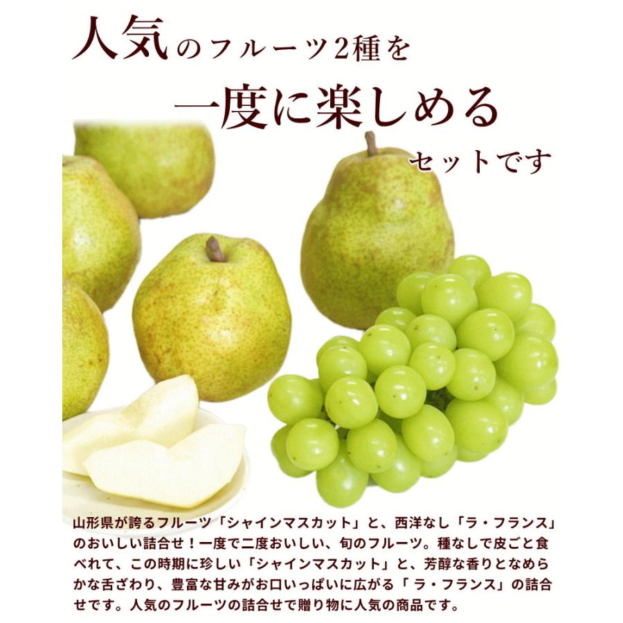 シャインマスカット 洋梨 セット 山形県産 シャインマスカット＆ラ・フランス詰合 秀品 ギフト お歳暮 11月中旬頃から発送 送料込