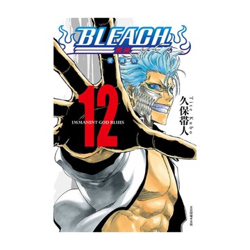 BLEACH死神愛藏版(12)