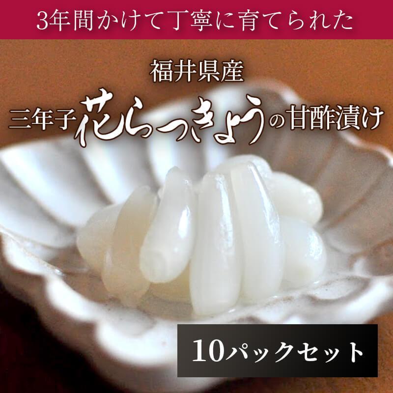 福井産 三年子 花らっきょうの甘酢漬け 80g  10パックセット