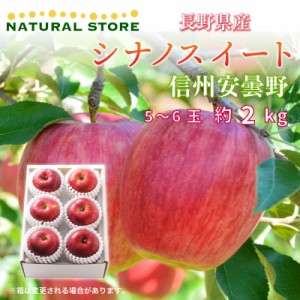 [予約 10月10日-11月30日の納品] シナノスイート 約 2kg 5-6玉 大玉 秋ギフト りんご リンゴ 長野県 安曇野産 信州安曇野 林檎