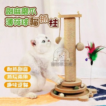 劍麻磨爪薄荷球貓抓柱 耐抓劍麻貓抓柱 劍麻 貓抓柱 薄荷球 彈力鈴鐺羽毛 劍麻玩具 貓磨爪
