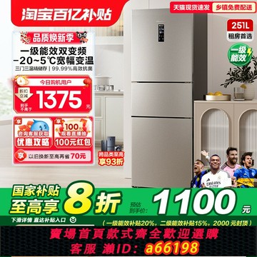 【台灣公司 可開發票】海信251L升三開門三門冰箱家用小型變頻一級能效風冷無霜租房客廳