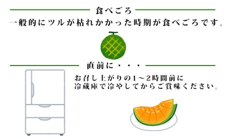 ふらの山部の絶品メロン『鳳凰』3L（2～2.5kg）×2玉（坂口農産）