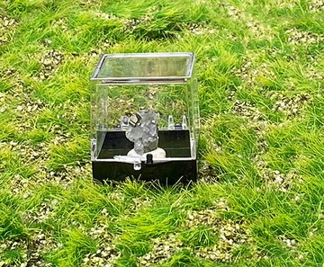 小小能量礦石擺件-可愛精品小小迷你螢石共生黃銅礦 增智慧 財運