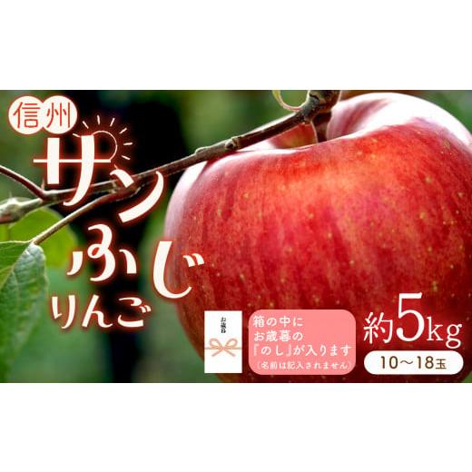 ふるさと納税 長野県 千曲市 のし付き りんごの王様「サンふじ」 約5kg (10〜18玉)