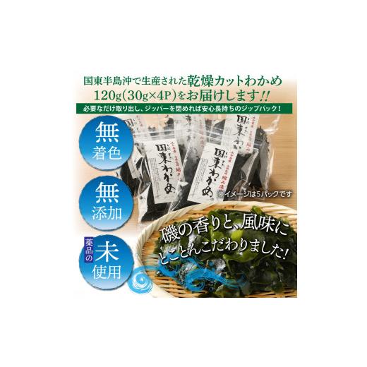 ふるさと納税 大分県 国東市 冷風乾燥が旨さの決め手！国東わかめ「乾燥カットわかめ」120g_0080N