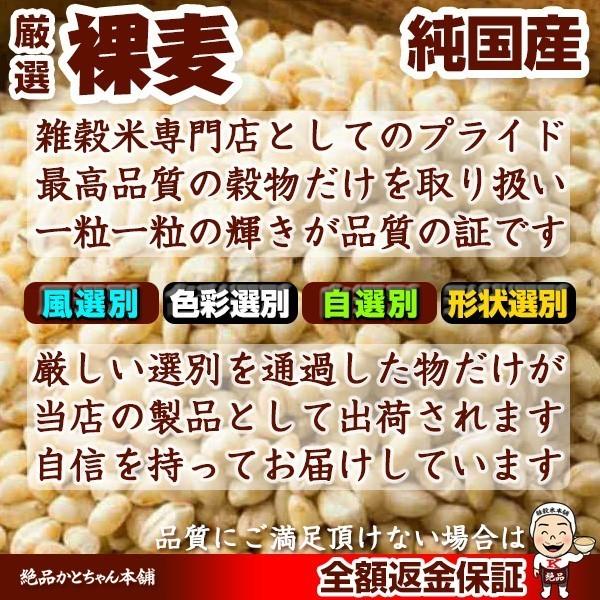 雑穀 雑穀米 国産 はだか麦 900g(450g×2袋) 厳選 裸麦 六条大麦 送料無料 ダイエット食品 置き換えダイエット 雑穀米本舗