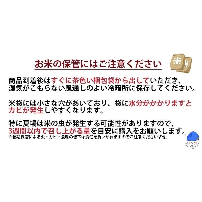 新米 20kg 5kg×4袋 つきあかり 福井県産 白米 令和5年産 送料無料