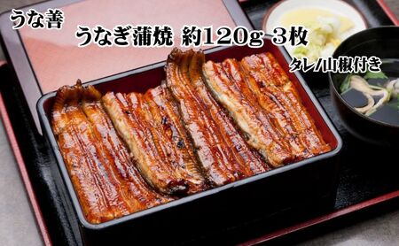 うなぎ 蒲焼 3枚 セット ウナギ 鰻 たれ 蒲焼き 惣菜 おかず ごはんのお供 魚 魚介 魚介類 冷凍 加工食品 静岡 湖西市 湖西