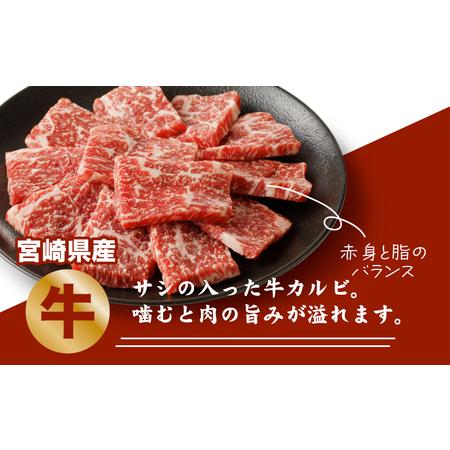 ふるさと納税 宮崎県産焼肉３種セット（牛・豚・鶏） 計６００ｇ  カット済み  K16_0079_1 宮崎県木城町