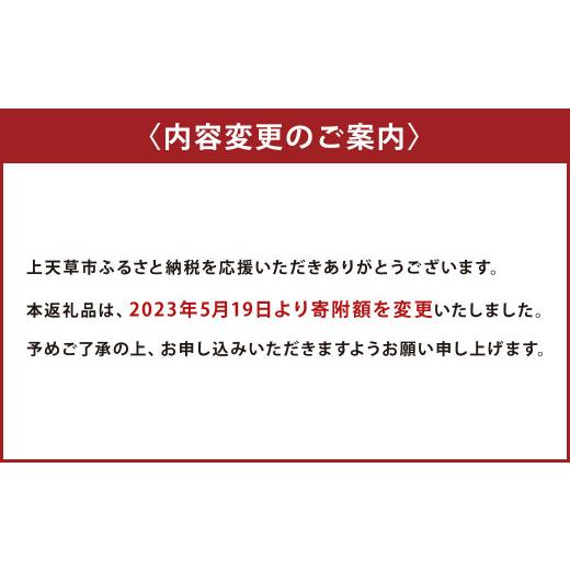 ふるさと納税 熊本県 上天草市 天草産ムラサキウニ(一汐低塩仕込み／60g)