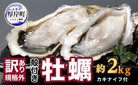 訳あり ハーフ 規格外 牡蠣 北海道厚岸産 殻付カキ 約2kg（11～25個）カキナイフ付 生食