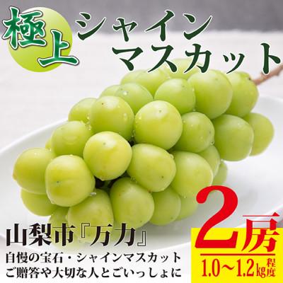 ふるさと納税 山梨市 生産者直送　山梨市『万力』極上シャインマスカット2房　計1kg〜1.2kg程度