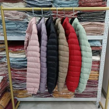 2024新款輕薄羽絨服女立領90白鴨絨時尚純色大碼保暖短款秋冬外套