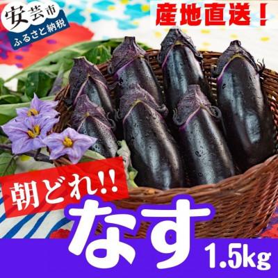 ふるさと納税 安芸市 農家直送!高知県安芸市産　朝採れナス　1.5kg