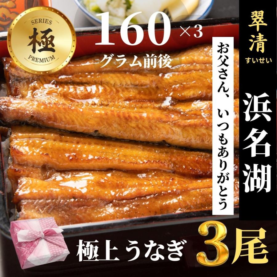 極 うなぎ 蒲焼 3尾 国産  鰻 ウナギ お中元 高級 人気 美味しい 浜名湖 静岡 老舗 店舗 冷蔵 のし 朝じめ 贈答 贈り物 ギフト お祝い お取り寄せ 内祝 地焼き