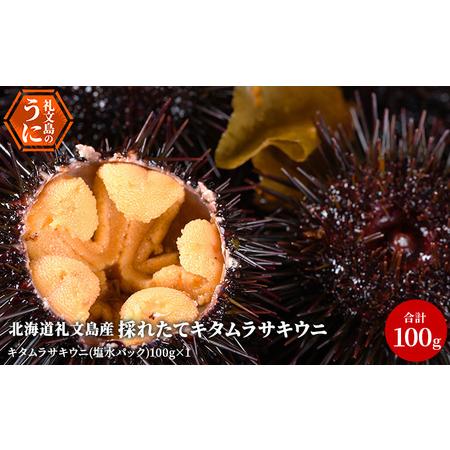 ふるさと納税 北海道 礼文島産 採れたて キタムラサキウニ 塩水パック 100g×1 生うに 生ウニ  塩水うに 北海道礼文町