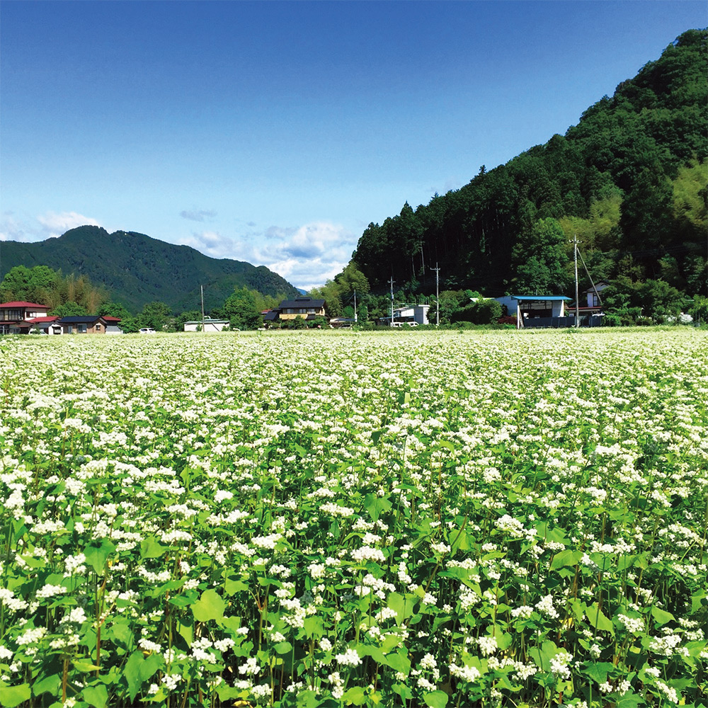 栃木・米山そば 〈米山そば〉鹿沼在来そば