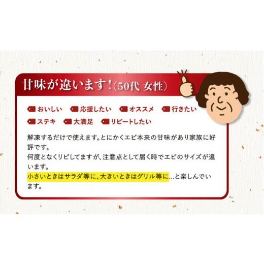 ふるさと納税 長崎県 五島市 五島特産 ボイル 車海老 エビ 尾付き むきえび 500g (250g×2P) 五島市／拓水 五島事業場 [PCU004]