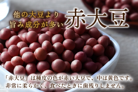 農家直送 豆好きのあなたに贈る 厳選大粒豆セット 計2kg（青大豆 1kg 赤大豆 1kg） [A-001028]