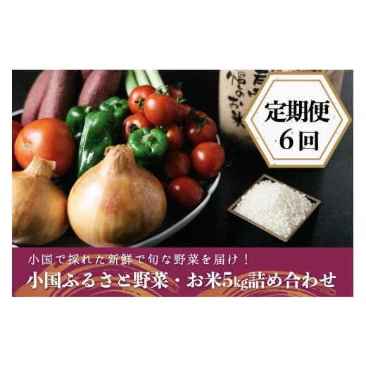 ふるさと納税 熊本県 小国町 阿蘇小国産・旬の野菜とお米５kgの詰め合わせ