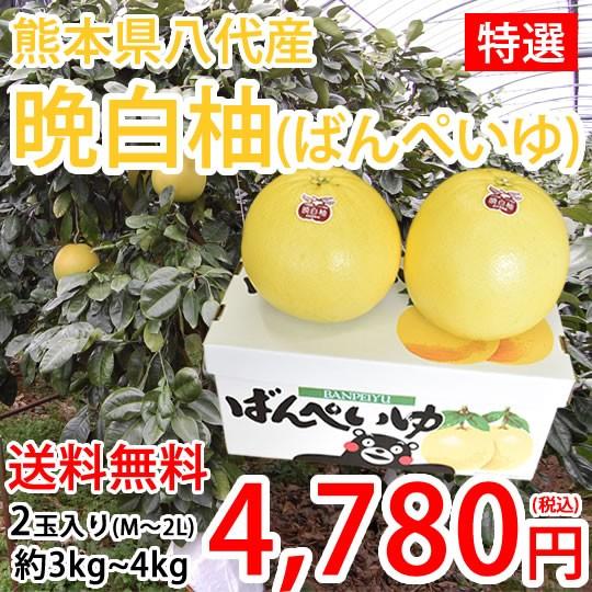 晩白柚 みかん ばんぺいゆ 送料無料 特選 約3kg〜4kg 2玉入 M〜2Lサイズ  世界最大級の柑橘 熊本県八代産 蜜柑 ミカン