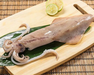 台灣野生透抽(1尾入)/200-300g_E014-5