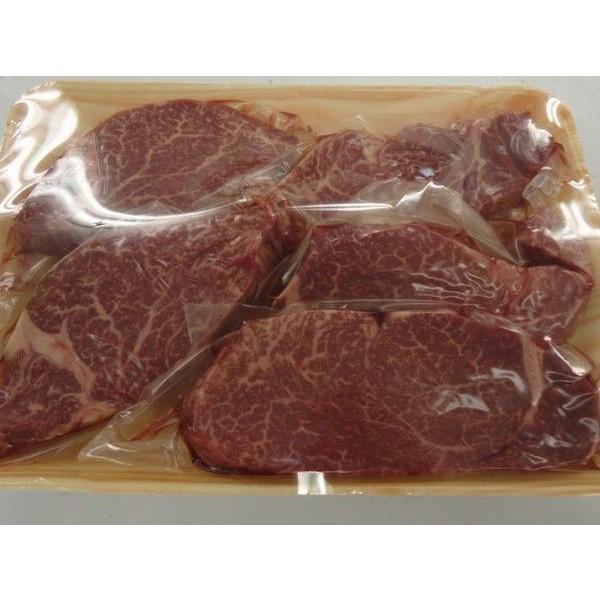 飛騨牛 A5等級 ヒレ ステーキ 100ｇ 5枚 シャトーブリアン フィレステーキ ステーキ お肉 肉 送料無料 プレミアム