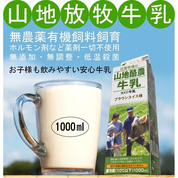 木次乳業有限会社 山地酪農牛乳 1000ml