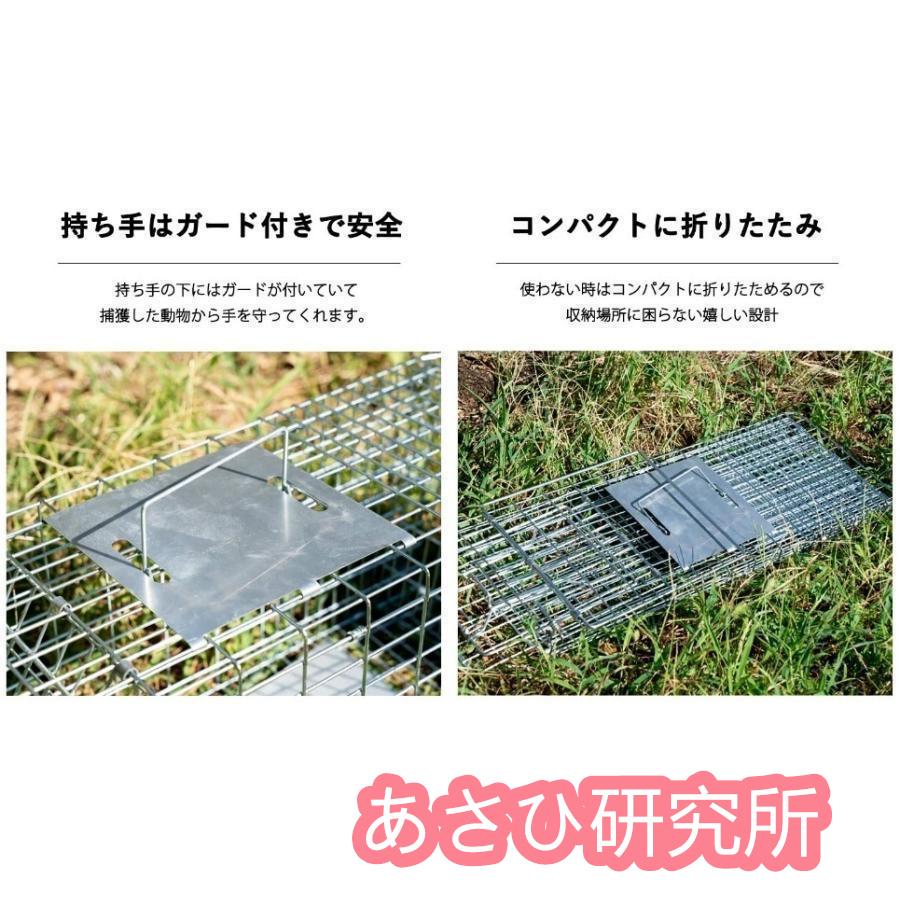 捕獲器 猫 アニマルトラップ トラップ Lサイズ 駆除 捕獲 踏板式 捕獲機 動物 罠 保護 庭 農業 アニマルキャッチャー LB-201