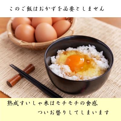 ふるさと納税 嬉野市 佐賀県産銘柄米3合(450g)9個セット(さがびより・夢しずく・ヒノヒカリ)