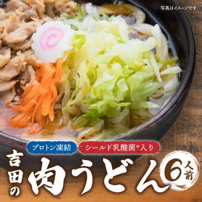 ふるさと納税 富士吉田市 プロトン凍結　シールド乳酸菌(R)入り吉田の肉うどんセット(1人前×6セット)