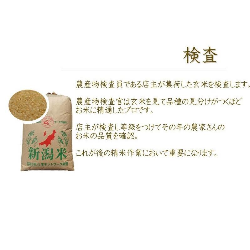 お米　新潟県産コシヒカリ 5kg　精白米　令和2年産　贈答用　熨斗　瓢米