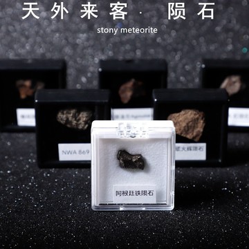 小廢物研究所 真隕石 阿根廷隕石 NWA隕石 隕石標本禮盒 生日禮物 交換禮物 情人節禮物 來自宇宙的禮物