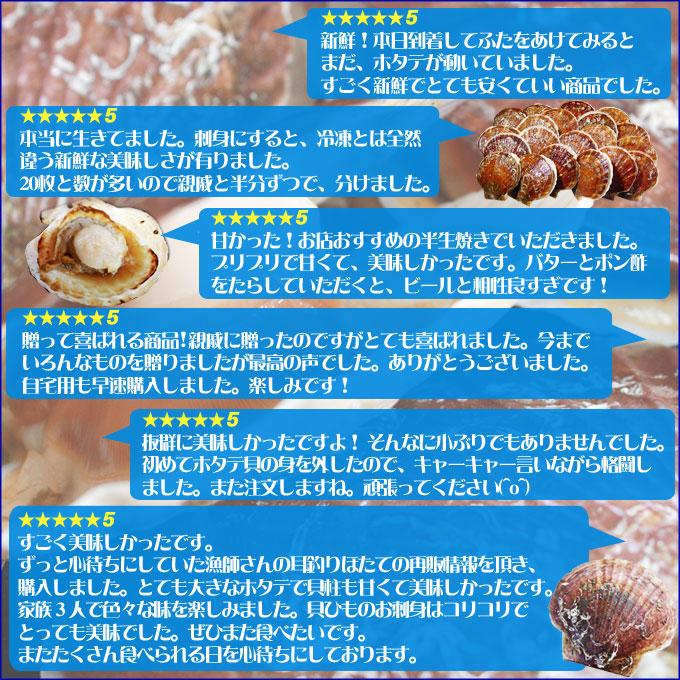 ほたて 活貝 送料無料 青森陸奥湾 鮮度が命の漁師直送便！  [※冷蔵便][※産地直送のため同梱不可]