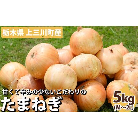 ふるさと納税 栃木県産 たまねぎ 5kg ※2024年5月より順次発送予定 ※離島への配送不可 ※着日指定不可 栃木県上三川町