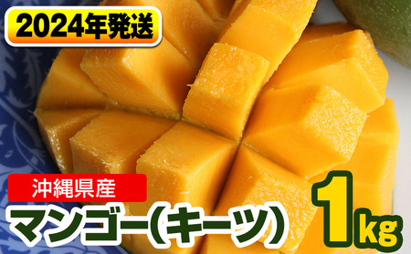 南国の果物　沖縄県産マンゴー　キーツ　1kg