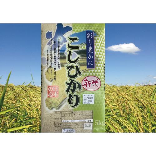 新米　コシヒカリ５Ｋｇ　栃木県　2023年産