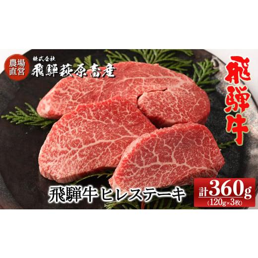 ふるさと納税 岐阜県 下呂市 飛騨牛ヒレステーキ  120g×3枚　国産 牛肉 ブランド牛  赤身 　