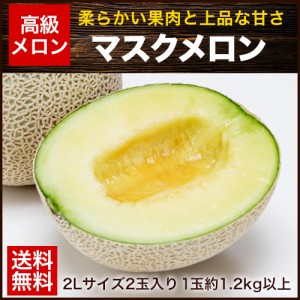 メロン 九州産 マスクメロン 2玉1玉約1.2kg以上×2玉 7-14営業以内発送予定(土日祝除く)