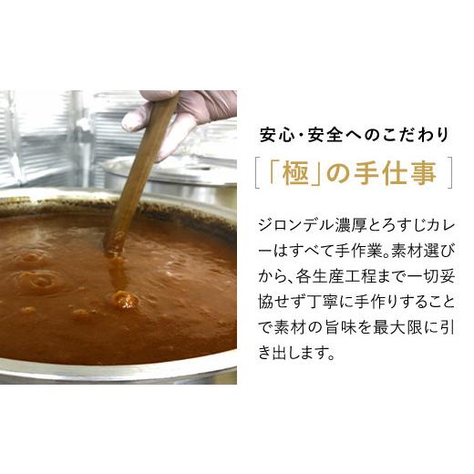 ふるさと納税 京都府 福知山市 無添加(175g×8袋) ふるさと納税 但馬牛 カレー 濃厚 とろすじ 無添加 飛燕 レ・ジロンデル 京都…