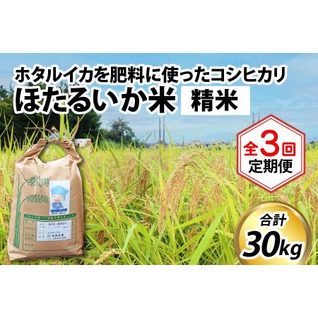 ふるさと納税 ほたるいか米（精米10kg）×3回 計30kg 富山県滑川市