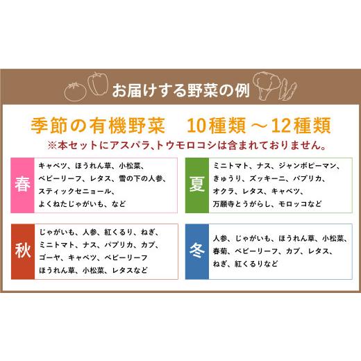 ふるさと納税 北海道 北広島市 季節の野菜 詰め合わせ 10種類〜12種類程度 有機野菜セットA 北海道北広島市