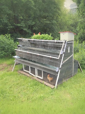 加粗單邊雞籠蛋雞籠母雞籠家用自動滾蛋雞籠三層蛋雞籠子養殖整套